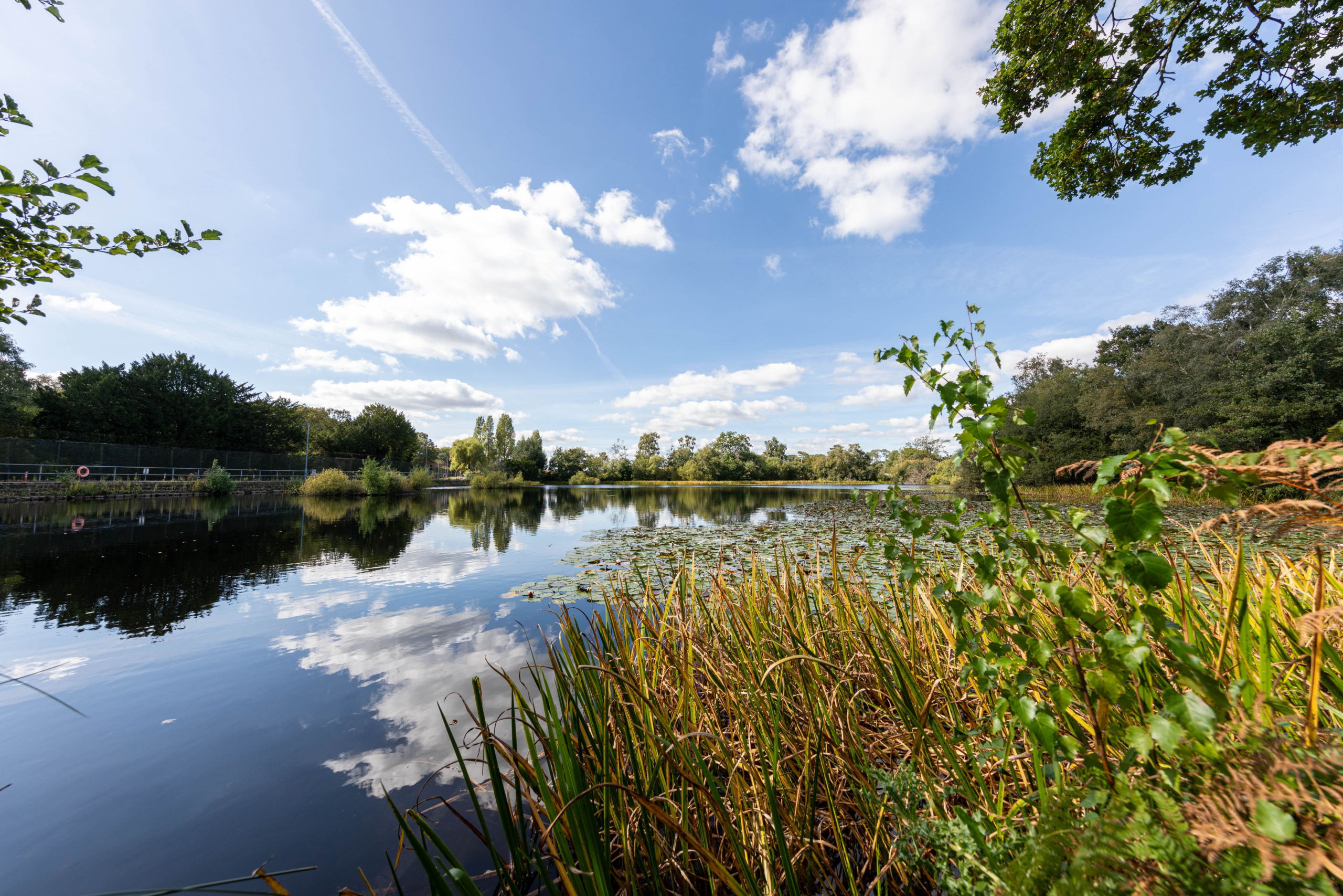Decoy Pond