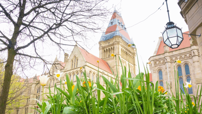 University of Manchester